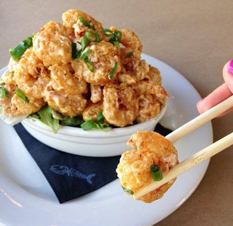 Bonefish Grill Wesley Chapel'