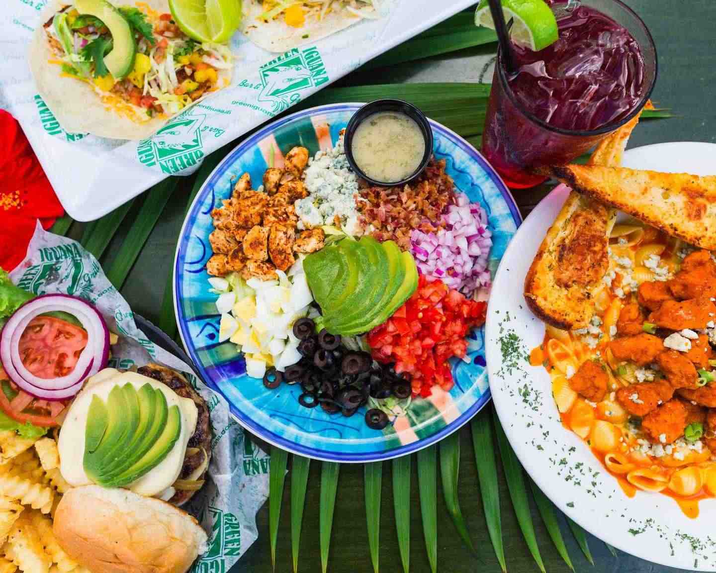 Green Iguana West Shore'